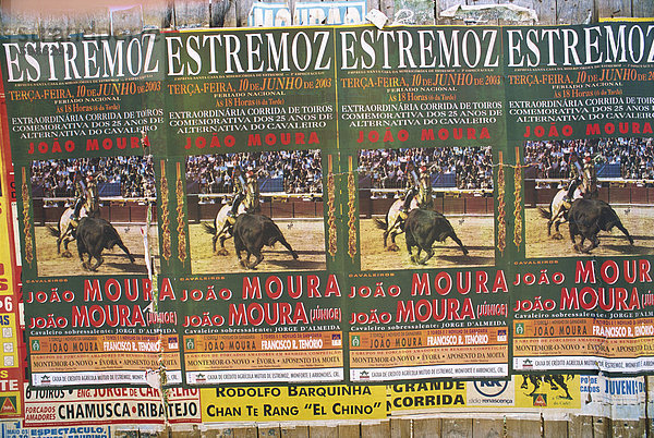Plakate  Salamanca  Castilla y Leon (Kastilien Old)  Spanien  Europa