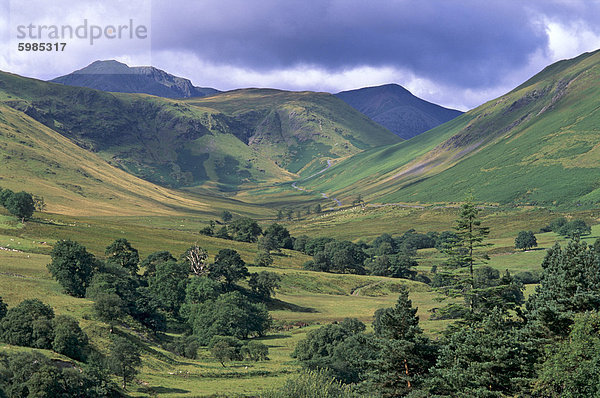 Keskadale und Derwent Fells in der Nähe von Keswick  Lake District-Nationalpark  Cumbria  England  Vereinigtes Königreich  Europa