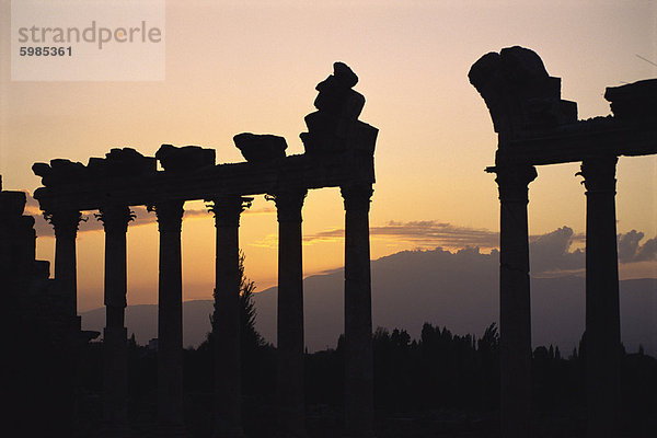 Spalten in öffentliche Gebäude  vermutlich des Gerichtshofs  Baalbek  UNESCO World Heritage Site  Libanon  Naher Osten