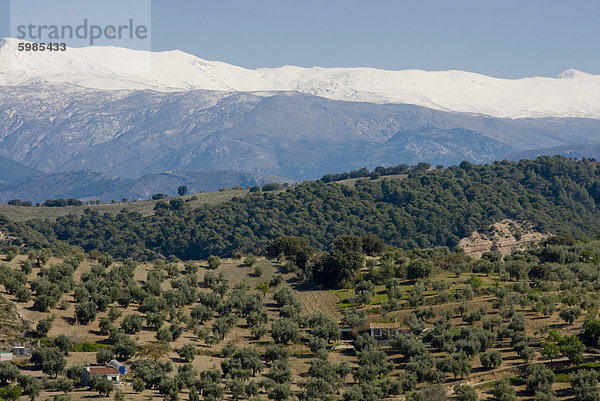 Huetor Santillan Landschaft  Sierra Nevada  Andalusien  Spanien  Europa