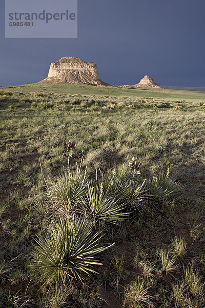 Pawnee Buttes  Pawnee National Grassland  Colorado  Vereinigte Staaten von Amerika  Nordamerika