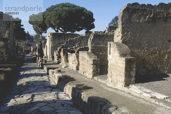 Die Ruinen von Herculaneum  eine römische Stadt in 79 zerstört durch einen Vulkanausbruch vom Vesuv  UNESCO-Weltkulturerbe  in der Nähe von Neapel  Kampanien  Italien  Europa