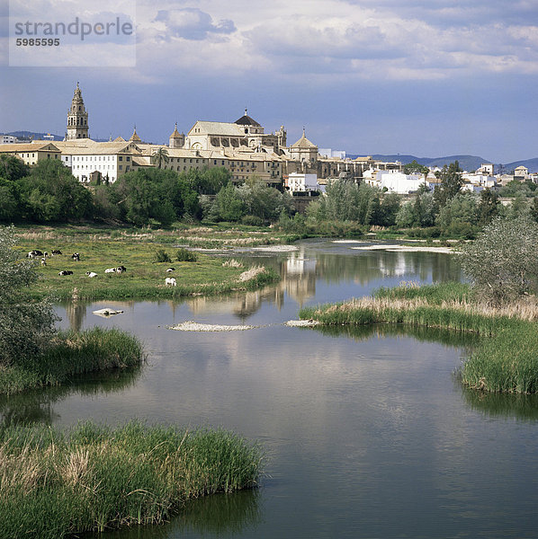 Blick Richtung Mezquita und Kathedrale von Cordoba  Andalusien  Spanien  Europa