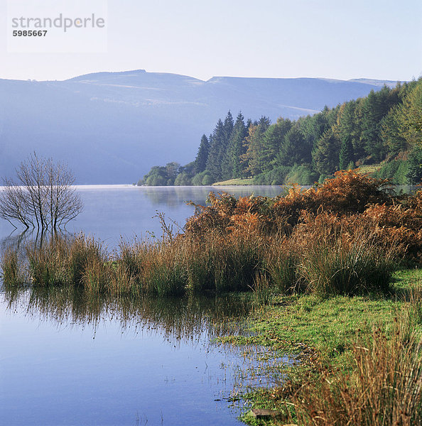 Talybont Reservoir  Brecon Nationalpark  Powys  Südwales  Wales  Vereinigtes Königreich  Europa