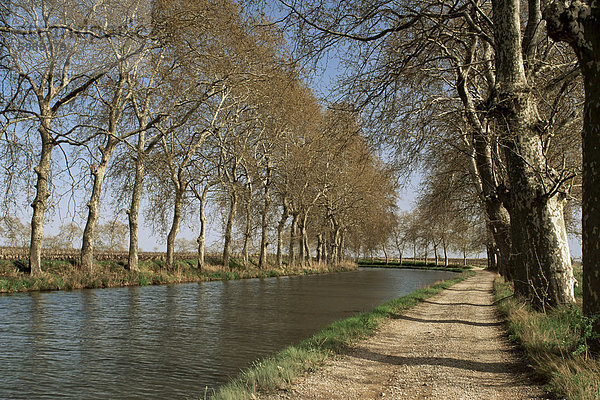 Kanal du Midi  in der Nähe von Capestang  Languedoc-Roussillon  Frankreich  Europa