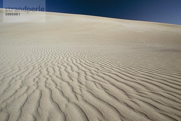 Kräuseln Sanddünen am Little Sahara an Südküste  Kangaroo Island  South Australia  Australien  Pazifik