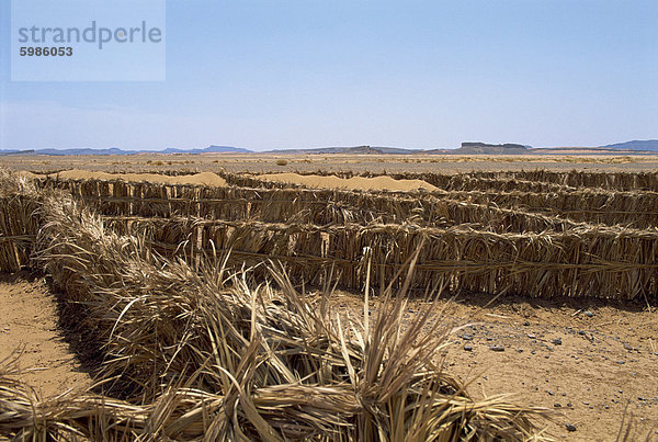 Barrieren errichtet  um zu verhindern  dass Sand driften auf Road  in der Nähe von Tinejdad  Marokko  Nordafrika  Afrika