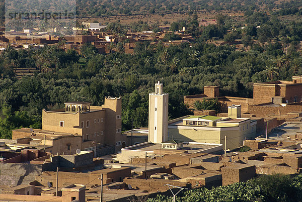 Blick über die kleine Stadt von Tioute  mit erheblichen Palmery in der Nähe von Taroudant  Marokko  Nordafrika  Afrika