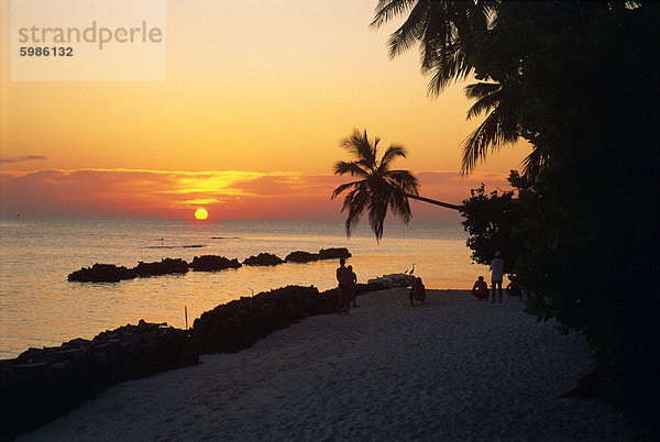 Nakatchafushi  Malediven  Indischer Ozean  Asien