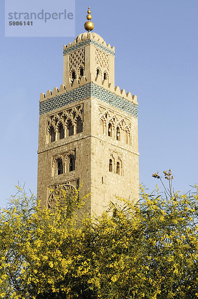 Das Koutoubia-Minarett aus 1147  Marrakesch  Marokko  Nordafrika  Afrika