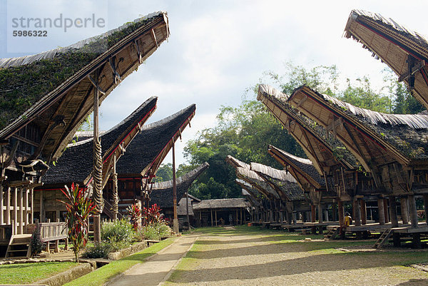 Südostasien Asien Indonesien Sulawesi