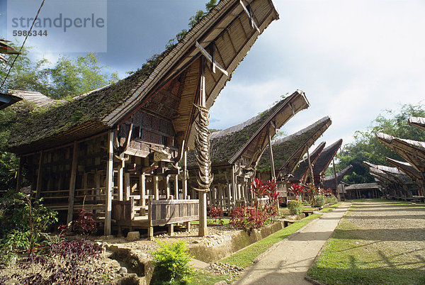 Südostasien Asien Indonesien Sulawesi