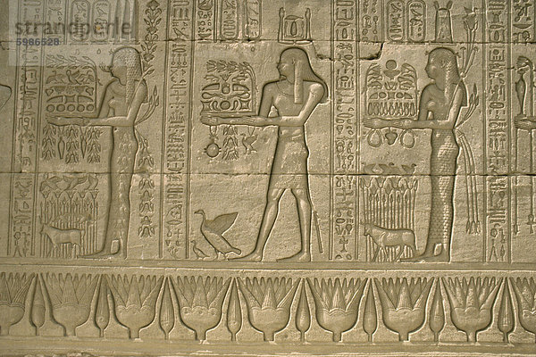 Reliefs  Tempel von Hathor  Dendera  Ägypten  Nordafrika  Afrika