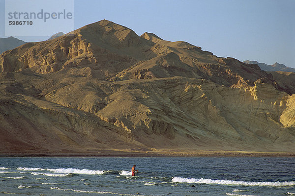 Tarabine  Rotes Meer  Sinai  Ägypten  Nordafrika  Afrika