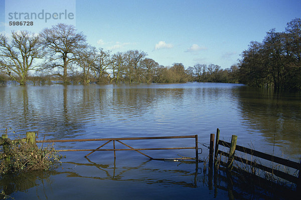 Überflutung von Feldern aus Fluss Severn nahe Tirley  Gloucestershire  England  Vereinigtes Königreich  Europa