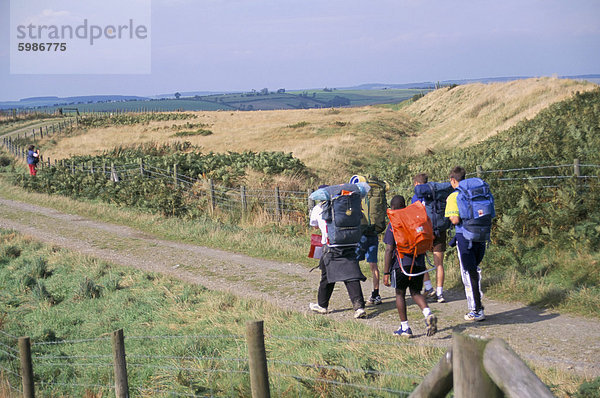 Wanderer auf Offa's Dyke  Llanfair Hill  Shropshire  England  Vereinigtes Königreich  Europa