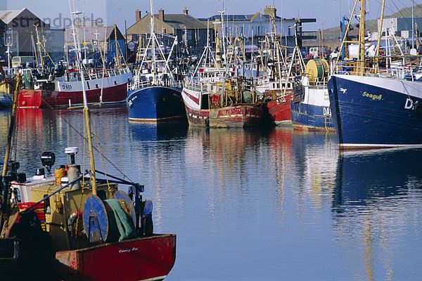 Fischerei Hafen von Howth  Bucht von Dublin  Irland