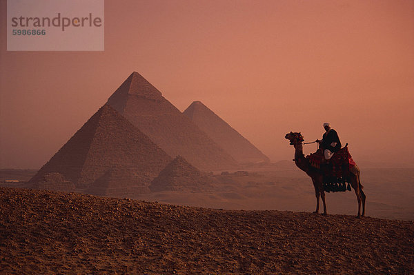 Camel und Fahrer auf die Pyramiden von Gizeh  UNESCO Weltkulturerbe  Gizeh  Kairo  Ägypten  Nordafrika  Afrika