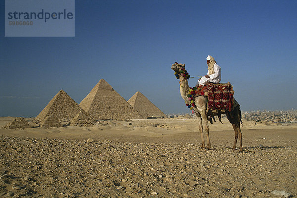 Kamel und Fahrer in der Nähe der Pyramiden  UNESCO Weltkulturerbe  Gizeh  Kairo  Ägypten  Nordafrika  Afrika