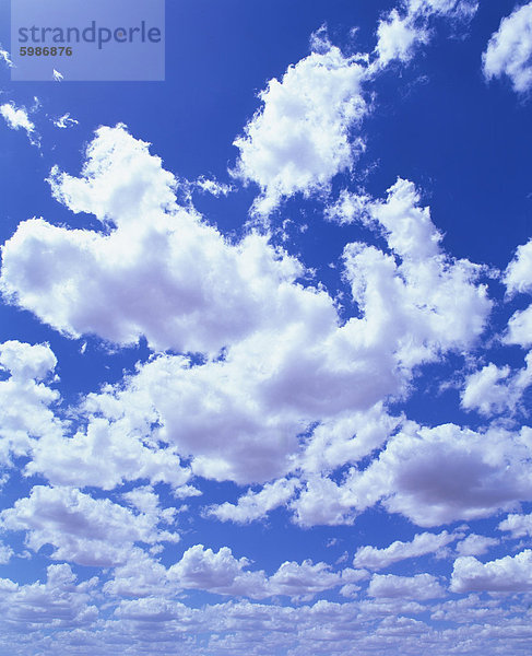 Geschwollene weißen Cumuluswolken im blauen Himmel über Regans Ford  West-Australien  Pazifik