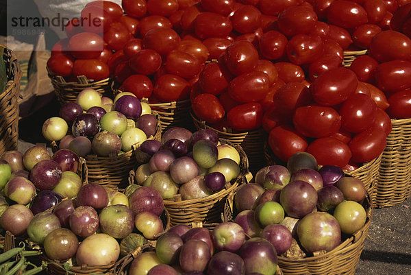 Körbe mit Gemüse und Tomaten auf einen Markt in der Stadt Oaxaca  Mexiko  Nordamerika