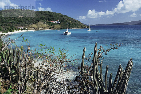 Weiße Bay  Jost van Dyke  britische Jungferninseln  Karibik  Caribbean  Mittelamerika