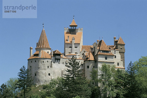 Schloss Bran (Dracula Schloss)  Siebenbürgen  Rumänien  Europa