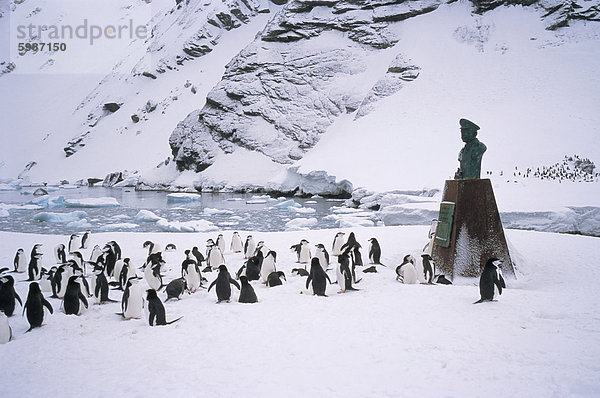 Zeigen Sie Wild  wo Shackletons Männer gerettet wurden  1916  einem der geschichtsträchtigsten Orte in der Antarktis  Elephant Island  Antarktis  Polarregionen