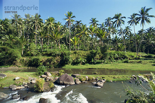 Flusstal bei Kupa Kupa Barong  in der Nähe von Ubud  Bali  Indonesien  Südostasien  Asien