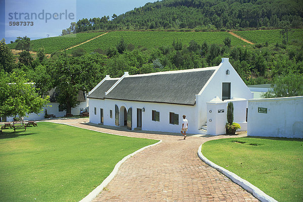 Die Morgenhof Estate  Wein Region  Provinz Westkap  Südafrika  Afrika