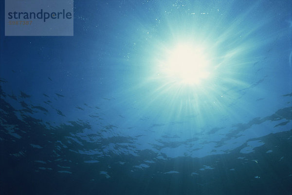 Sonnenstrahlen durch die Oberfläche von Unterwasser  auf Similan Island  Thailand  Südostasien  Asien