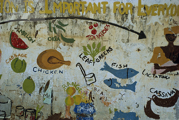 Wandbild am Dorfschule in der Nähe von Banjul in Gambia  Westafrika  Afrika