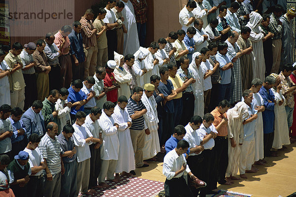 Freitag Gebete an der Moschee in Djemaa el Fna  Marrakesch  Marokko  Nordafrika  Afrika