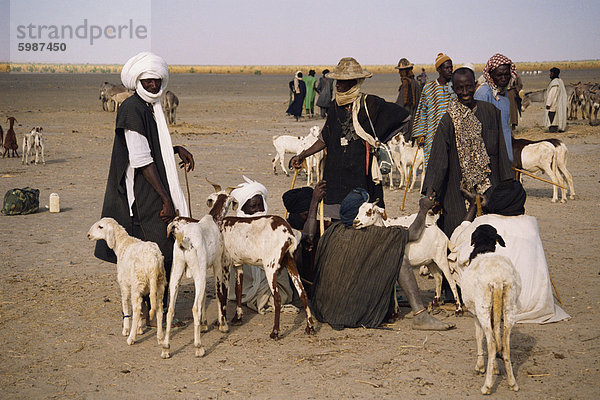 Men und Ziegen am Markt Tag  Kanioume  Mali  Westafrika  Afrika