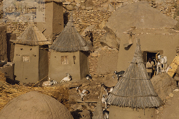 Ziegen und Getreide speichern im Dogon-Dorf  Escarpment Bandiagara  Mali  Westafrika  Afrika