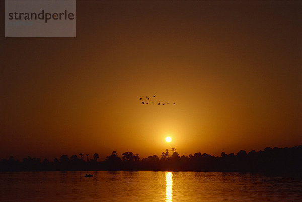 Sonnenuntergang auf dem Nil  Luxor  Ägypten  Nordafrika  Afrika