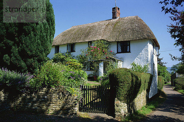 Europa Großbritannien Devon England