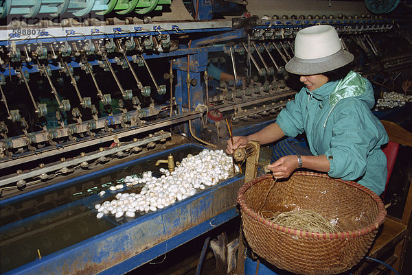 Für Hosen  neue Seide Seide Fabrik  Mochau  Nord-Vietnam  Indochina  Südostasien  Asien