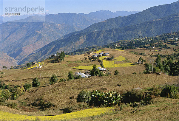 Landwirtschaftlich genutzten Feldern in Berglandschaft  östlichen Bhutan  Asien