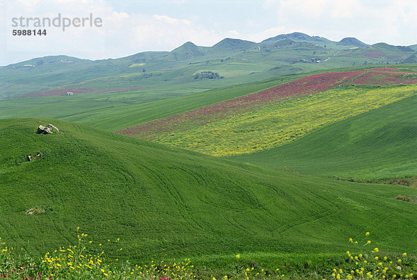 Feldern und Hügeln in einer typischen Landschaft in der Nähe von Misilmeri in Mitteleuropa westlichen Sizilien  Italien