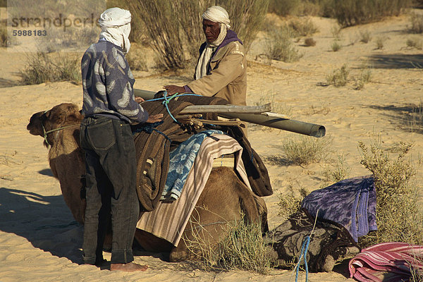 Berber führt laden Kamel  Sahara-Wüste in der Nähe von Douz  Tunesien  Nordafrika  Afrika