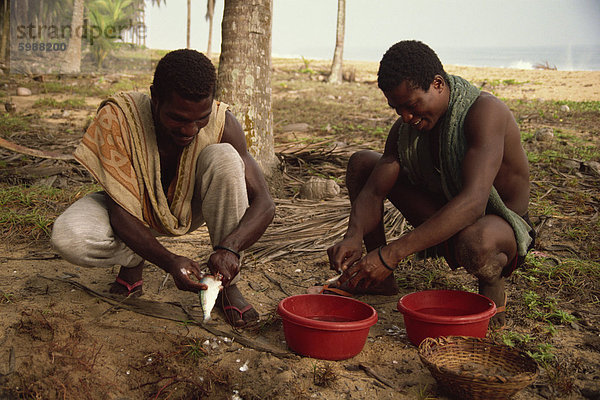 Männer ausnehmen Fisch  in der Nähe von Abidjan  Elfenbeinküste  Westafrika  Afrika