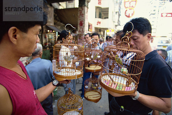 Vögel in Käfigen in der Vogelstraße in Hong Kong  China  Asien