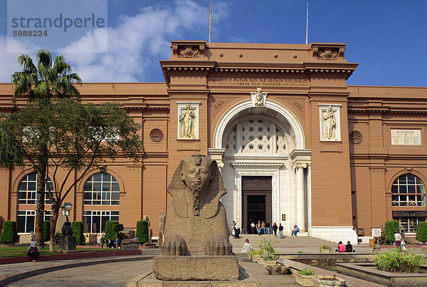 Sphinx außerhalb der ägyptischen Museum  Kairo  Ägypten  Nordafrika  Afrika