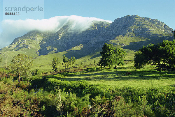 Der Montagu und Outeniqua übergibt  Provinz Westkap  Südafrika  Afrika