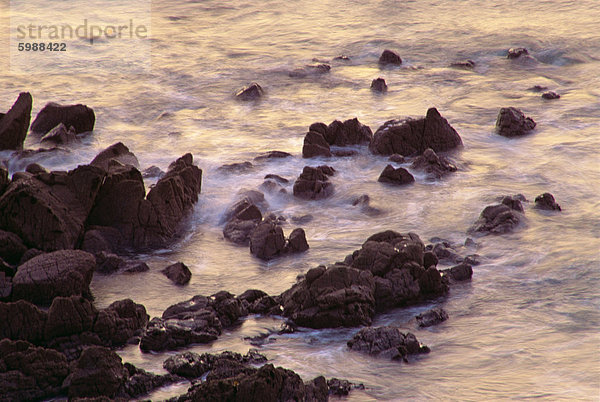 Meer brechen gegen Felsen an der Küste Coverack  Cornwall  England  Vereinigtes Königreich  Europa