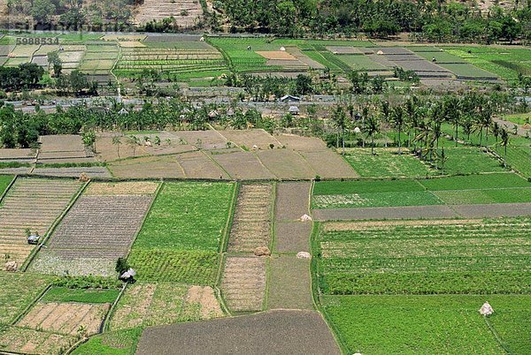 Luftbild des Tals mit bewässerten Feldern in der Nähe von Bug Bug an der Ostküste von Bali  Indonesien  Südostasien  Asien