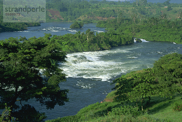 Victoria-Nil durch Regenwald  Jinja fällt  in der Nähe von Kampala  Uganda  Ostafrika  Afrika