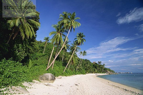 Tropischer Strand und Palmen Bäume auf Perhentian Besar  größere der beiden Perhentian-Inseln mit marine Parks vor der Küste von Terengganu  Malaysia  Südostasien  Asien