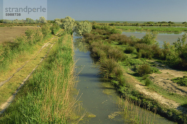 Landschaft bei St. Marie De La Mer  Camargue  Provence  Frankreich  Europa